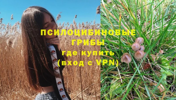 мефедрон Алексеевка