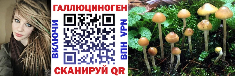 Галлюциногенные грибы Cubensis  Шенкурск 